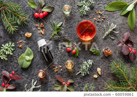 Bottles of essential oil with frankincense, wintergreen, wormwood and other herbs 60059861