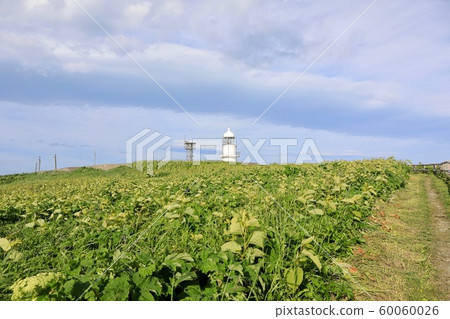 Landscape of Cape Erimo Landscape of Cape Erimo 60060026