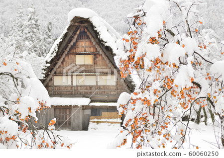 [岐阜縣]冬天的白川鄉世界文化遺產 60060250