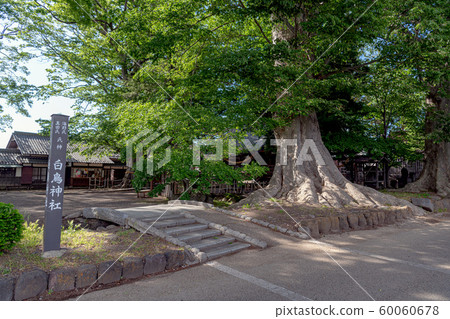 雲之宿白鳥神社 60060678