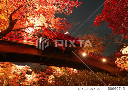 秋楓樹谷 60060743