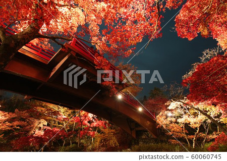 秋楓樹谷 60060745