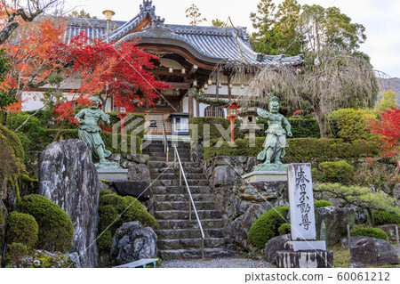 Shosoji寺廟秋葉 60061212