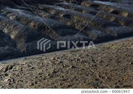 Siheung Tidal-Ecological Park, Siheung City, Gyeonggi-do Siheung Tidal-Ecological Park, Siheung City, Gyeonggi-do 60061947