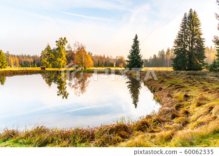 Trees reflected in the pond. Kladska peat bog National Reserve near Marianske Lazne, Czech Republic Trees reflected in the pond. Kladska peat bog National Reserve near Marianske Lazne, Czech Republic 60062335
