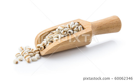 job's tears in wood scoop isolated on white background. job's tears in wood scoop isolated on white background. 60062346