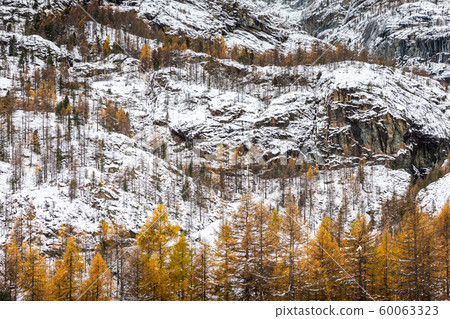 Rock mountains covered by snow in winter. 60063323