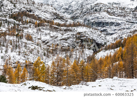 Rock mountains covered by snow in winter. 60063325