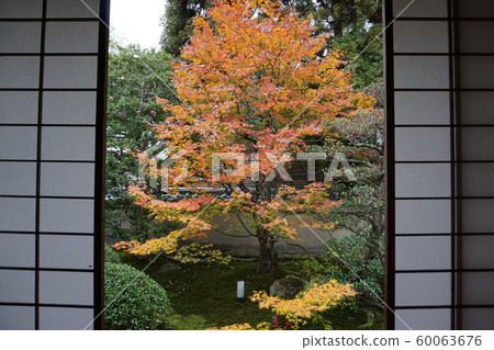 Yunibuster秋葉 60063676