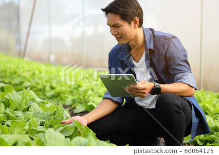 Smart farmers are monitoring plant growth to keep 60064125