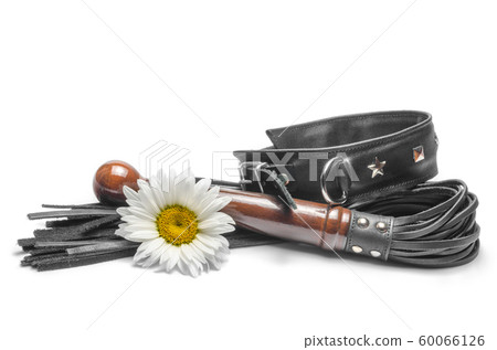 bdsm leather lash and black collar with yellow daisy flowers on a white background bdsm leather lash and black collar with yellow daisy flowers on a white background 60066126