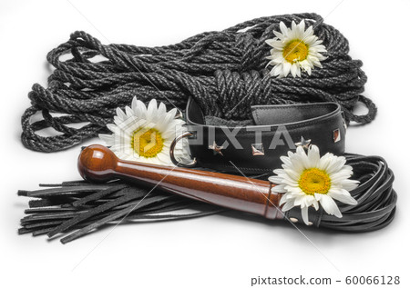 bdsm leather lash and black collar with shibari rope and yellow daisy flowers on a white background 60066128