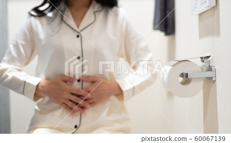 toilet  60067139