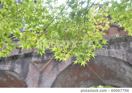 Nanzenji Suidokaku和綠楓 Nanzenji Suidokaku和綠楓 60067798