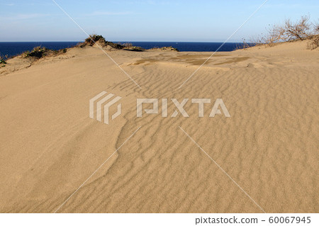 Tottori Four Seasons Fall Autumn Tottori Sand Dunes 60067945