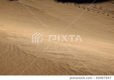 鳥取四個季節秋天秋天鳥取沙丘 60067947