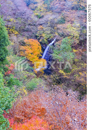 Fall of autumnal waterfall (vertical) Fall of autumnal waterfall (vertical) 60067976