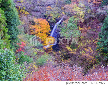 Autumnal immovable waterfall Autumnal immovable waterfall 60067977