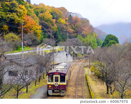 Late autumn Watase ravine railway 60067978