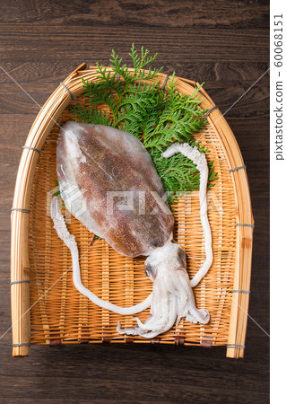烏賊 烏賊 60068151