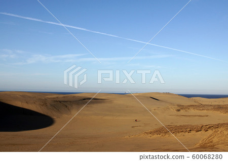 鳥取四個季節秋天秋天鳥取沙丘 60068280
