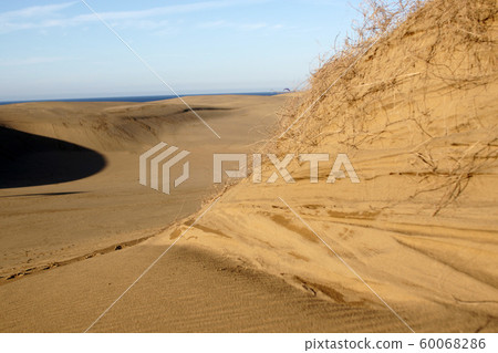鳥取四個季節秋天秋天鳥取沙丘 60068286