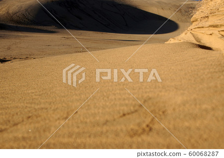 鳥取四個季節秋天秋天鳥取沙丘 60068287