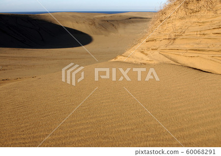 Tottori Four Seasons Fall Autumn Tottori Sand Dunes 60068291
