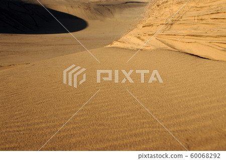 鳥取四個季節秋天秋天鳥取沙丘 60068292