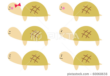 可愛的烏龜插圖集 60068638