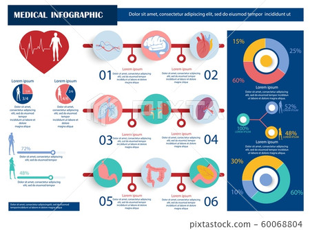 Human Body Internal Organs Medical Anatomy Banner. 60068804