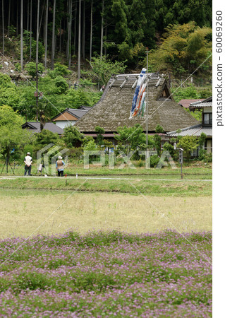 京都三山春季四季漫步 京都三山春季四季漫步 60069260