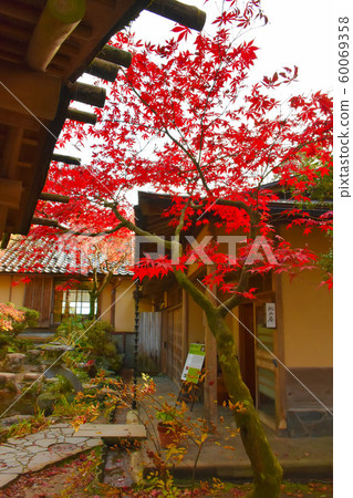 圓山茶室,秋葉,富山民俗藝術村 圓山茶室,秋葉,富山民俗藝術村 60069358