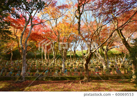 500拉漢秋葉富山 60069553