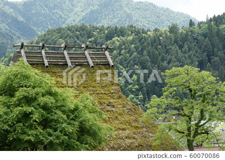 京都三山春季四季漫步 京都三山春季四季漫步 60070086