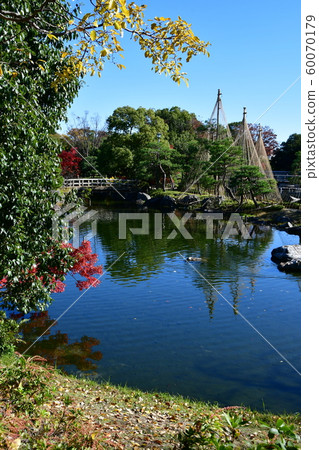 Autumn swan garden Autumn swan garden 60070179