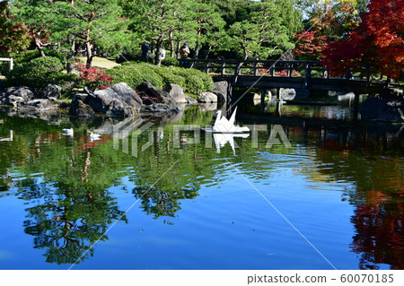 Autumn swan garden Autumn swan garden 60070185
