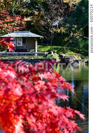 秋天天鵝庭院 秋天天鵝庭院 60070214
