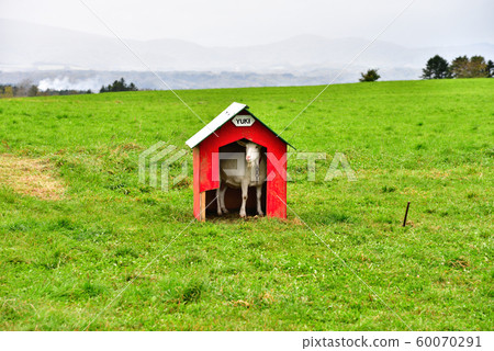 一個農場 一個農場 60070291