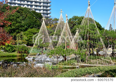 秋天天鵝庭院 60070370