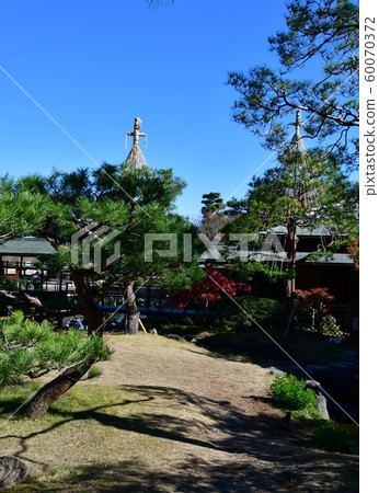 秋天天鵝庭院 秋天天鵝庭院 60070372