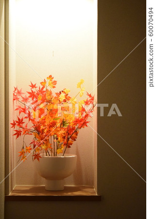 Vase and maple 60070494