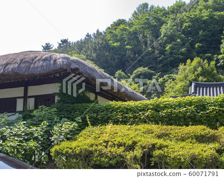 Hanok in Seocheon, Chungcheongnam-do Hanok in Seocheon, Chungcheongnam-do 60071791