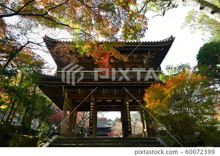 Kozan-ji Shimonoseki colored leaves 60072399