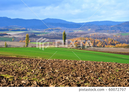 Biei 60072707