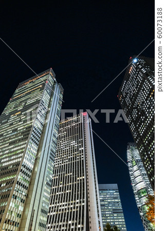 Nishi Shinjuku · Night view 60073188