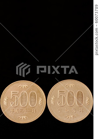 平成三十一年（五千日元） 60073789