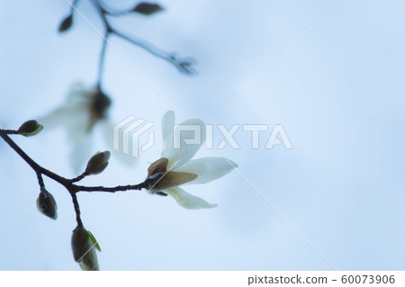 A pretty spicy sprout A pretty spicy sprout 60073906