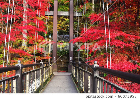 Shiobara Onsen townscape, red suspension bridge and autumn leaves Shiobara Onsen townscape, red suspension bridge and autumn leaves 60073955