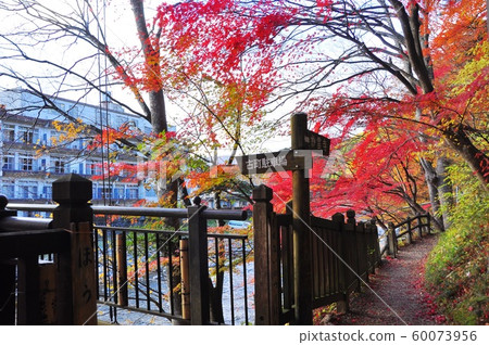 Shiobara Onsen townscape Shiobara Valley sidewalk and autumn leaves (near the Suspension Bridge) Shiobara Onsen townscape Shiobara Valley sidewalk and autumn leaves (near the Suspension Bridge) 60073956